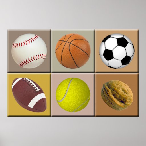 Sports Nut Poster
