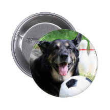 Sportsdog Button