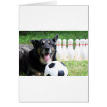 Sportsdog Cards