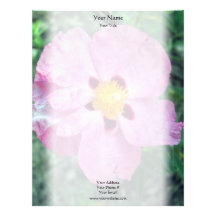 Spot Flower Letterhead
