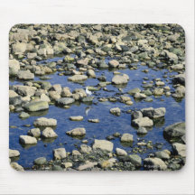 'Spot' The Seagull - Colwyn Bay: Mousepad