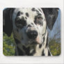 Spotted Dalmatian Mouse Pad