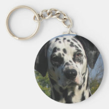 Spotted Dalmation Keychain
