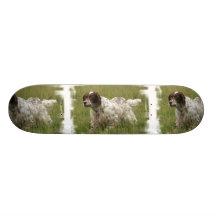 Spotted English Setter Dog Skateboard