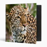 Spotted Leopard Binder
