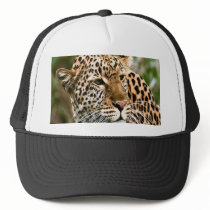 Spotted Leopard Cap