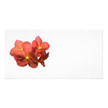 Spotted Orange Orchid Photo Card
