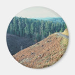 Spotted Owl Habitat Clear-cutting Fridge Magnets