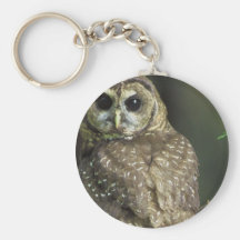 Spotted Owl Keychain