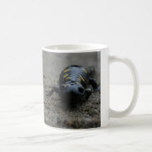 Spotted Salamander Coffee Mugs