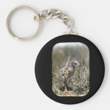 Spotted sandpiper keychains