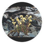 Spotted Saxifrage Round Stickers
