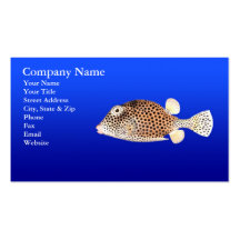 Spotted Trunkfish on Blue Background Business Cards
