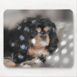 Spotty Cav? mousepads