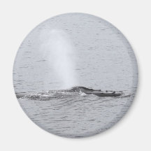Spray Blowing Humpback Print Refrigerator Magnet