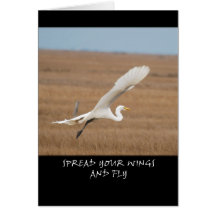 Spread Your Wings Card