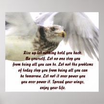 Spread your Wings_Poster