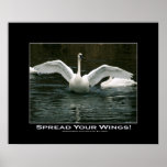 SPREAD YOUR WINGS Swan Photo Print
