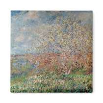 Spring, 1880-82 magnets