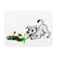 Spring-awake, puppy with butterfly magnet