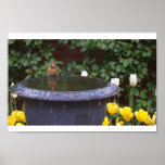 Spring birdbath posters