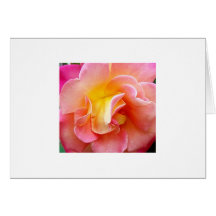 Spring Bloom Card