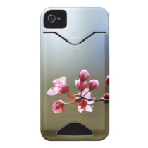 Spring Blooms Beauty