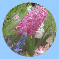 Spring Blooms Collector Plate plates