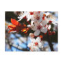Spring blooms post card