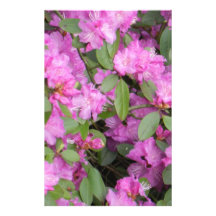 Spring Blooms Stationery Paper
