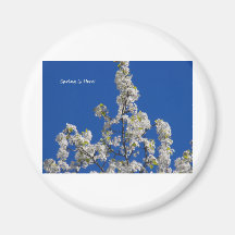 Spring Blooms w/ Blue Sky Magnets