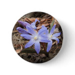Spring Blue ~ button