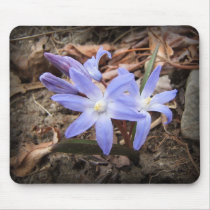 Spring Blue ~ mousepad