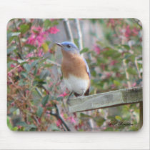 Spring Bluebird Mousepad