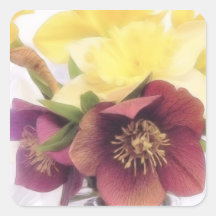 Spring Bouquet - Hellebores and Daffodils Square Sticker