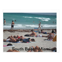 Spring break beach outing. postcard