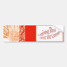 Spring Break! Bumper Stickers