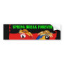 SPRING BREAK FOREVER PARROTS BUMPER STICKERS