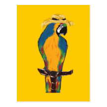 Spring Break Parrots Post Card