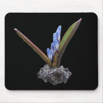 Spring buds ~ mousepad