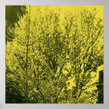 Spring Buds Print