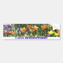 Spring bulbs bumper sticker