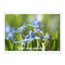 Spring Bulbs invitations
