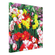 Spring Bulbs Wrapped Canvas #2 Gallery Wrapped Canvas