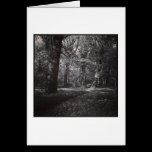 Spring Bute Park, Cardiff, Wales cartes