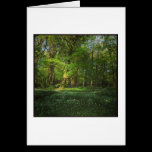 Spring Bute Park, Cardiff, Wales cartes