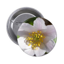 Spring Buttons