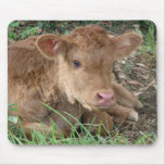 Spring Calf Mouse Pads