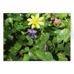 Spring Greeting Card