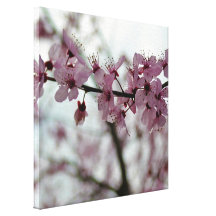 Spring Cherry Blossom Floral Stretched Canvas Print